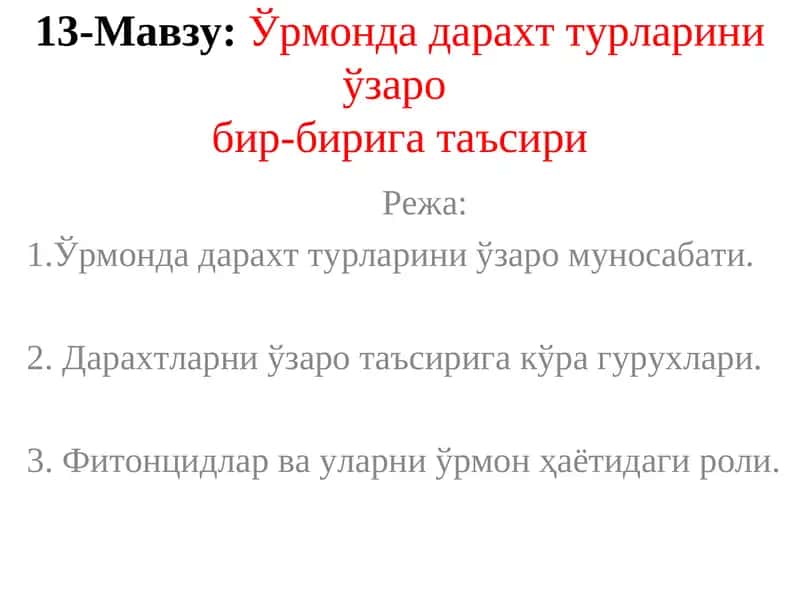Ўрмонда дарахт турларини ўзаробир-бирига таъсири