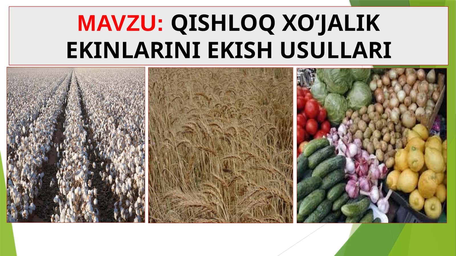 QISHLOQ XO‘JALIK EKINLARINI EKISH USULLARI