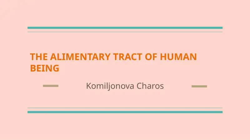 THE ALIMENTARY TRACT OF HUMAN BEING