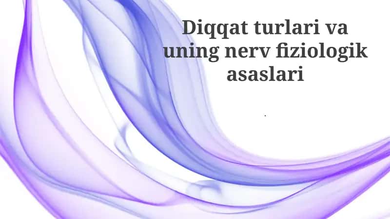 Tanlangan Diqqat va Yo'naltiruvchi Tarmoq