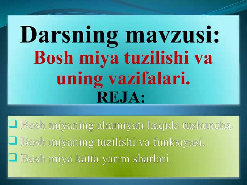 Bosh miya tuzilishi va uning vazifalari