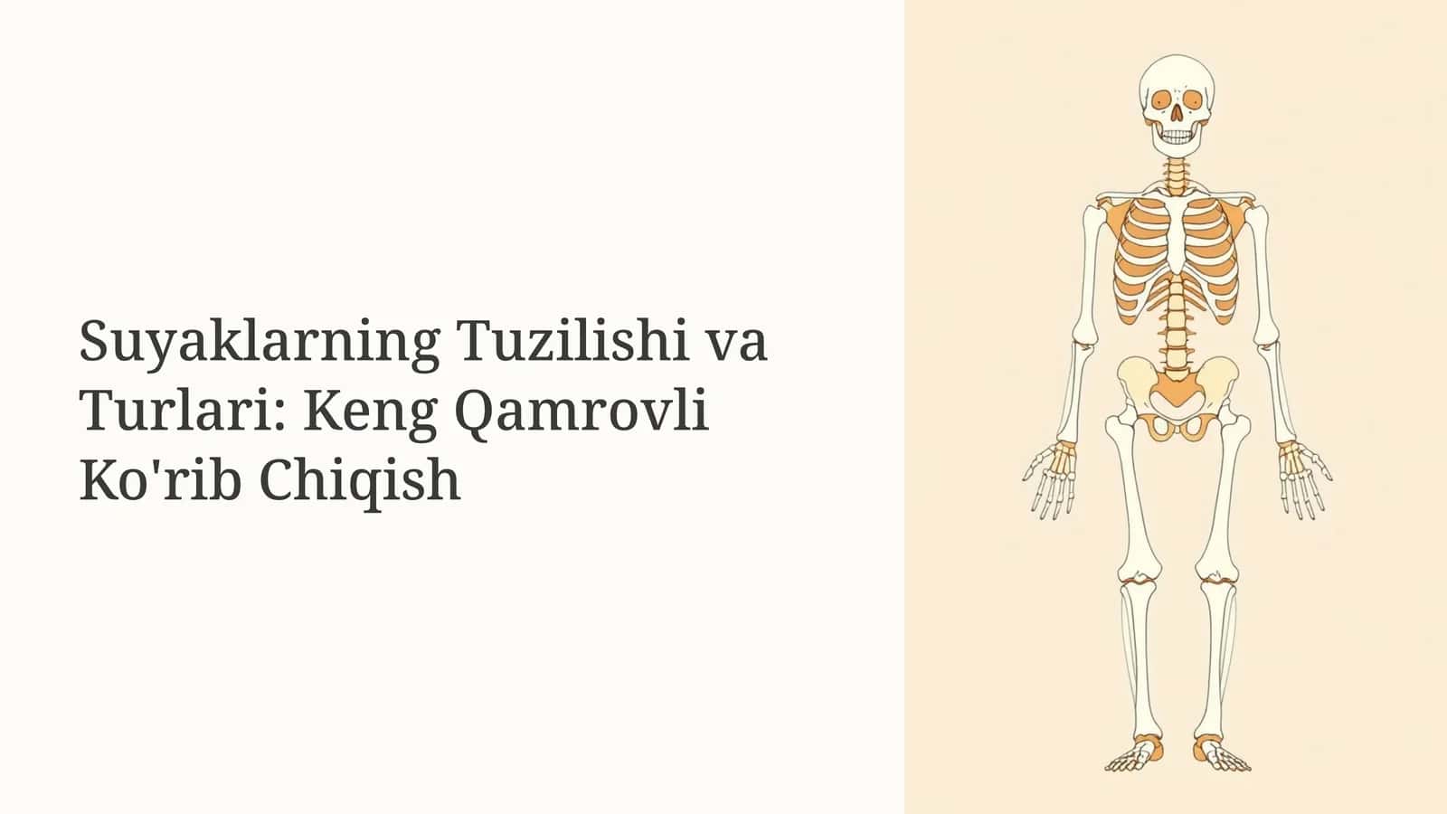 Suyaklarning Tuzilishi va Turlari: Keng Qamrovli Ko'rib Chiqish