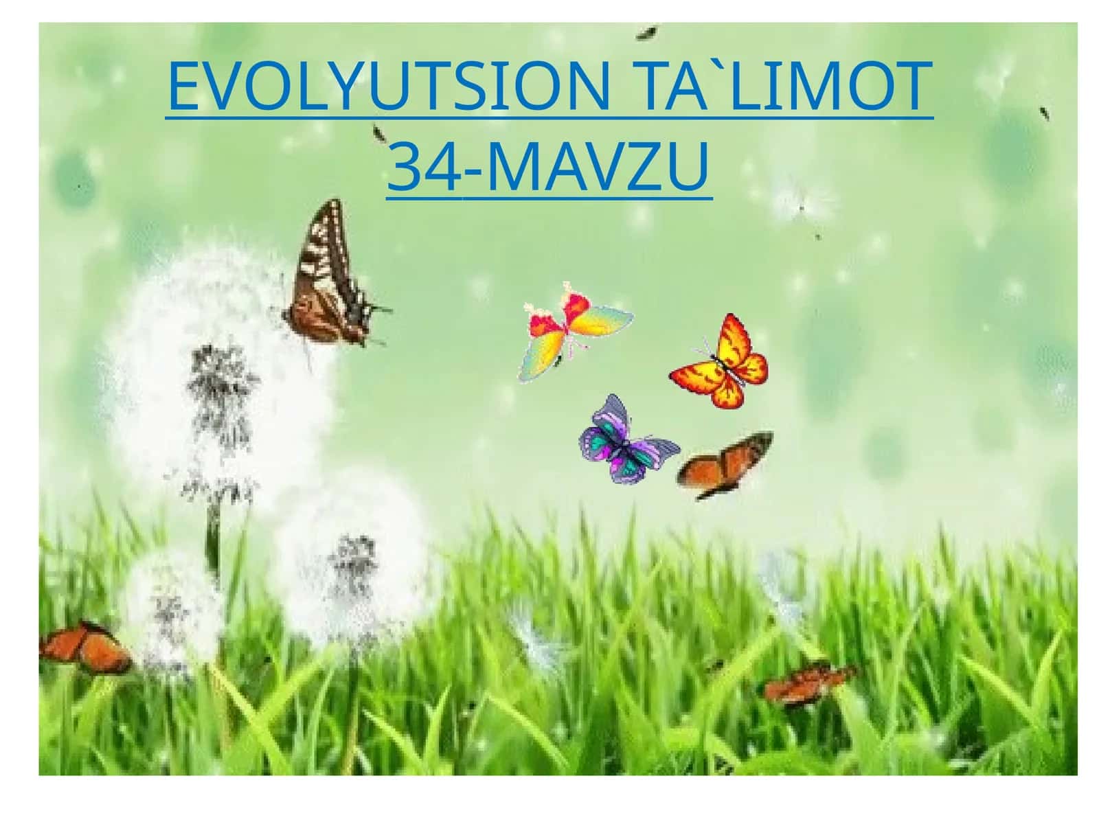 EVOLYUTSION TA`LIMOT34