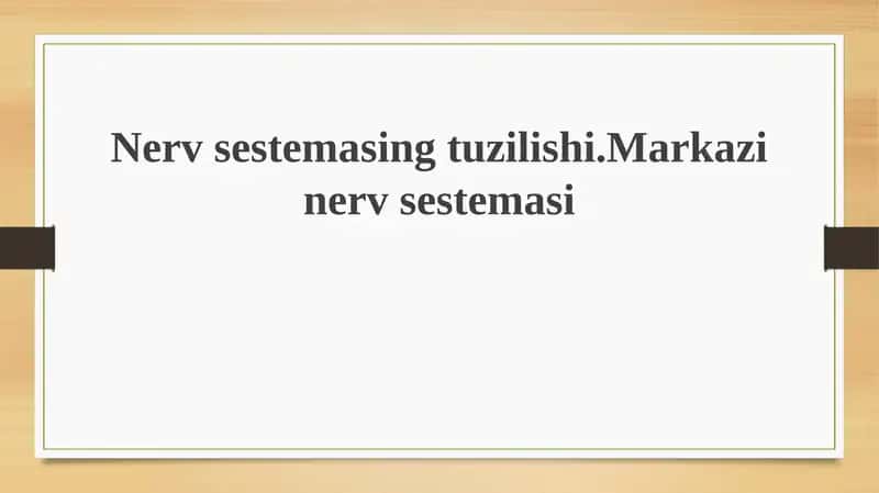 Nerv sistemasi tuzilishi