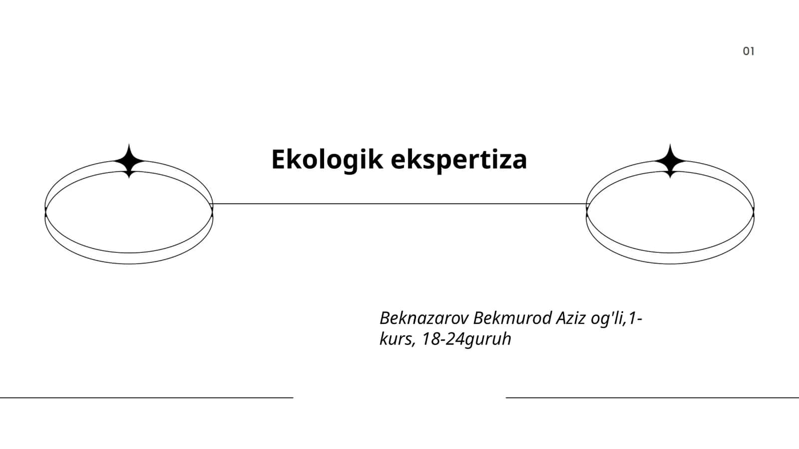 Ekologik ekspertiza