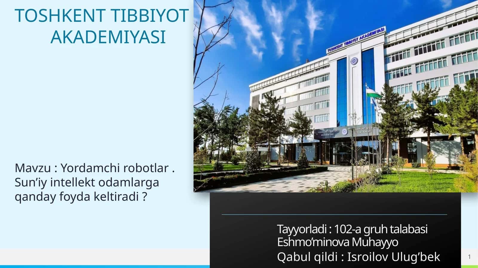 Yordamchi robotlar. Sun’iy intellekt odamlarga qanday foyda keltiradi?