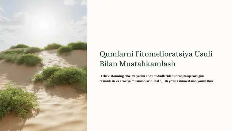 Qumlarni Fitomelioratsiya Usuli Bilan Mustahkamlash