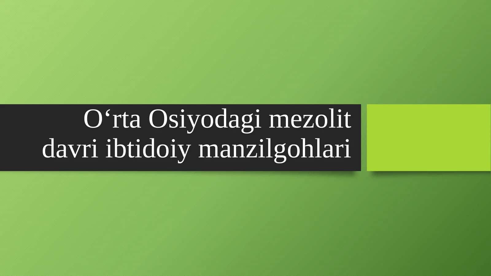 O‘rta Osiyodagi mezolit davri ibtidoiy manzilgohlari