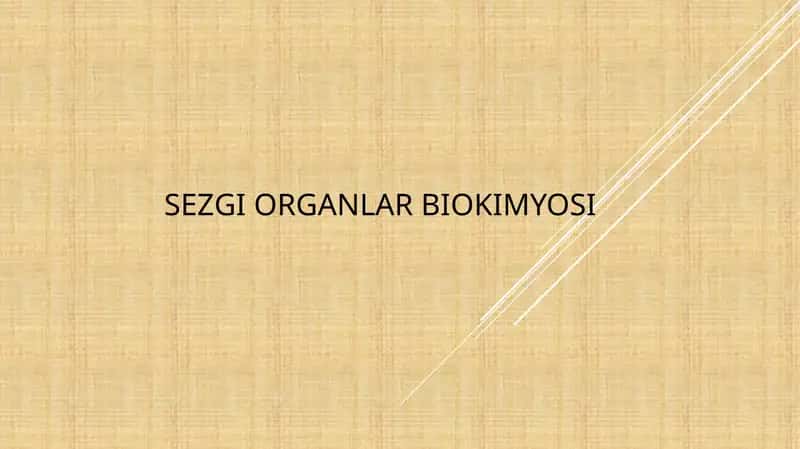 Sezgi organlar biokimyosi