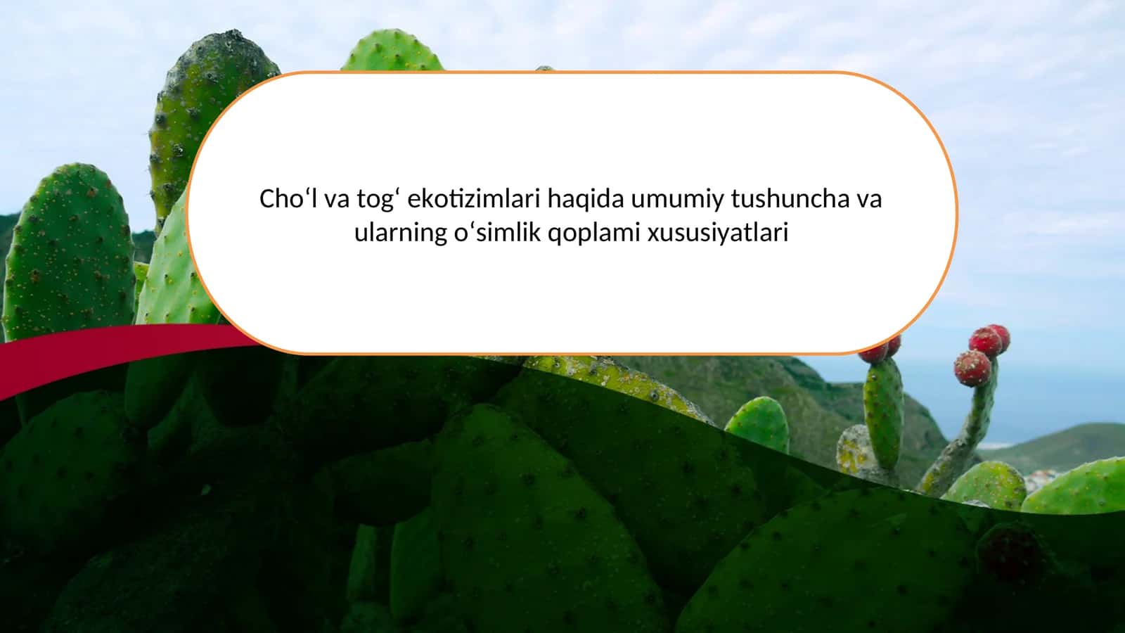 Cho‘l va tog‘ ekotizimlari haqida umumiy tushuncha va ularning o‘simlik qoplami xususiyatlari