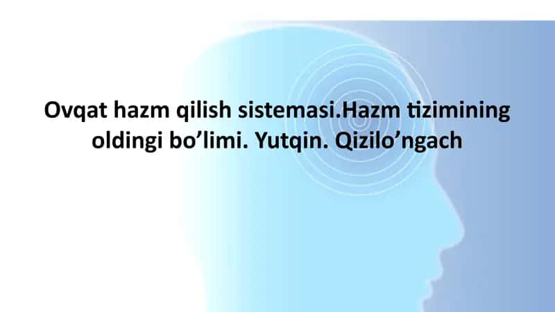 Hazm Sistemasi