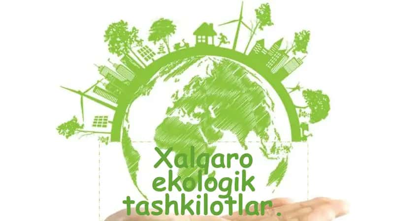 Xalqaro ekologik tashkilotlar