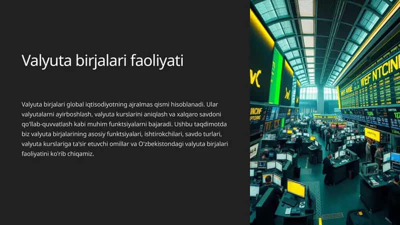 Valyuta birjalari faoliyati