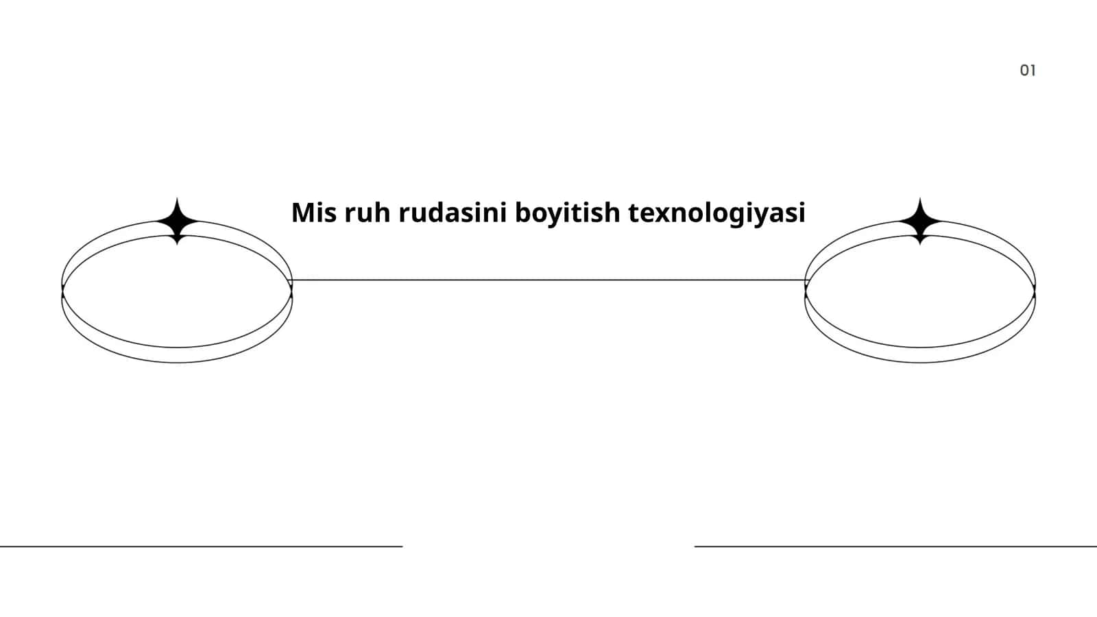 Mis va rux rudalarining minerallik tuzilishi va petrografiyasi