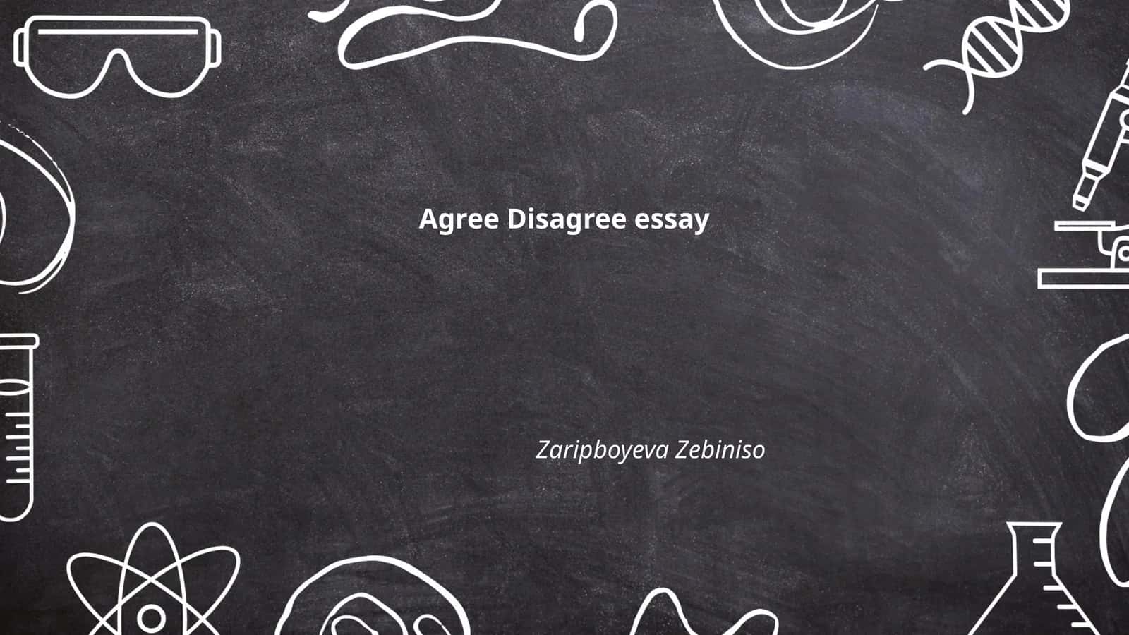 Agree Disagree essay