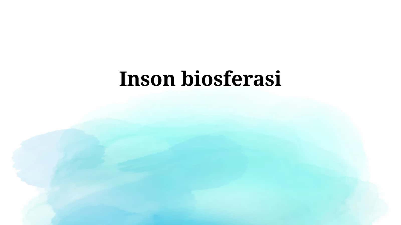 Inson biosferasi