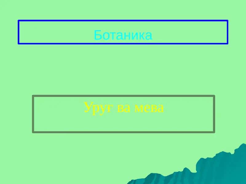 Уруғва мева