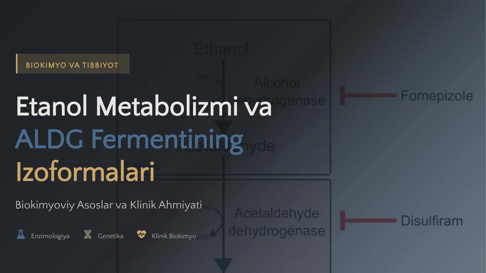 Etanol Metabolizmi va ALDG Fermentining Izoformalari Biokimyoviy Asoslar va Klinik Ahmiyati