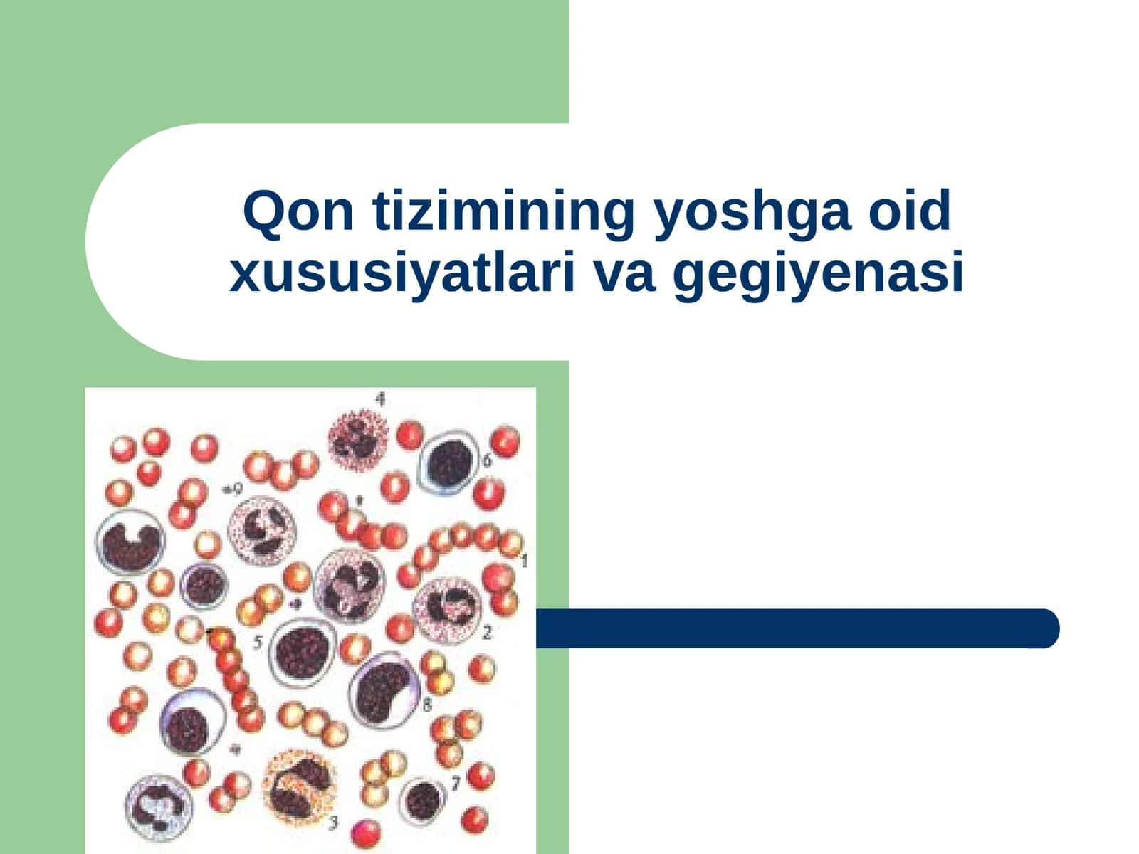 Qon tizimining yoshga oid xususiyatlari va gegiyenasi