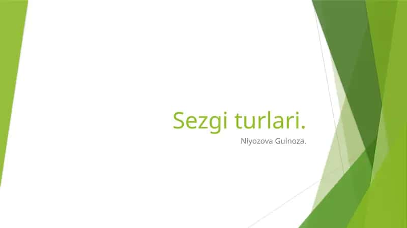 Sezgi turlari