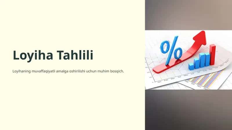 Loyiha Tahlili