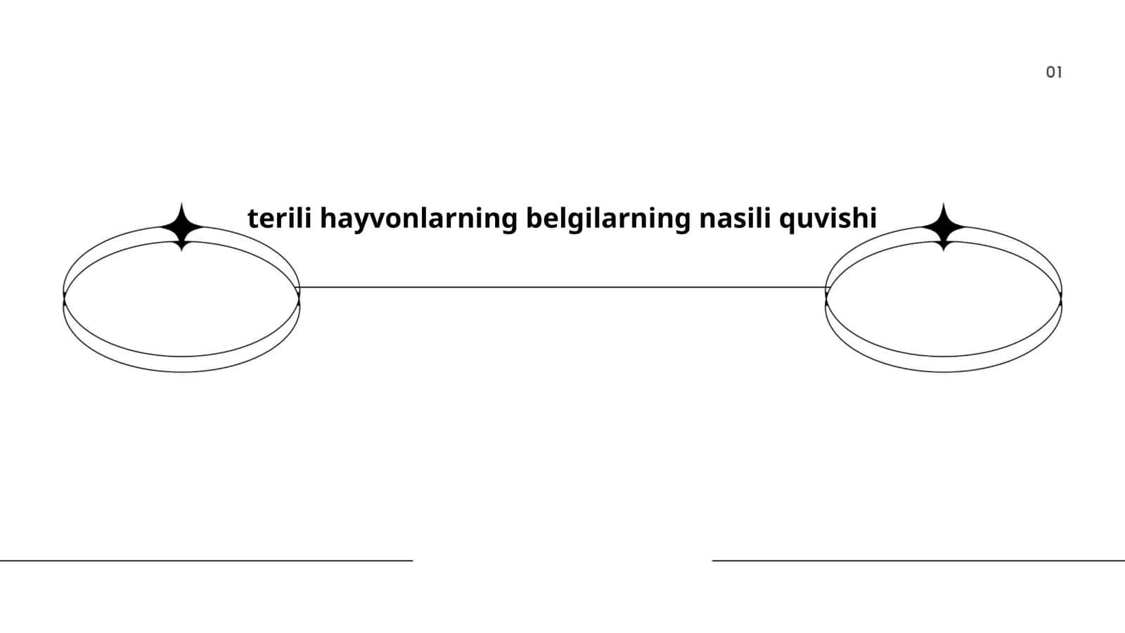 Terili hayvonlar anatomiyasi