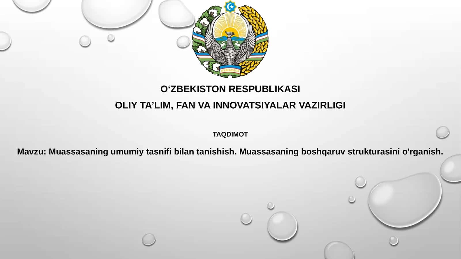 Muassasaning umumiy tasnifi va tashkiliy tuzilmasi