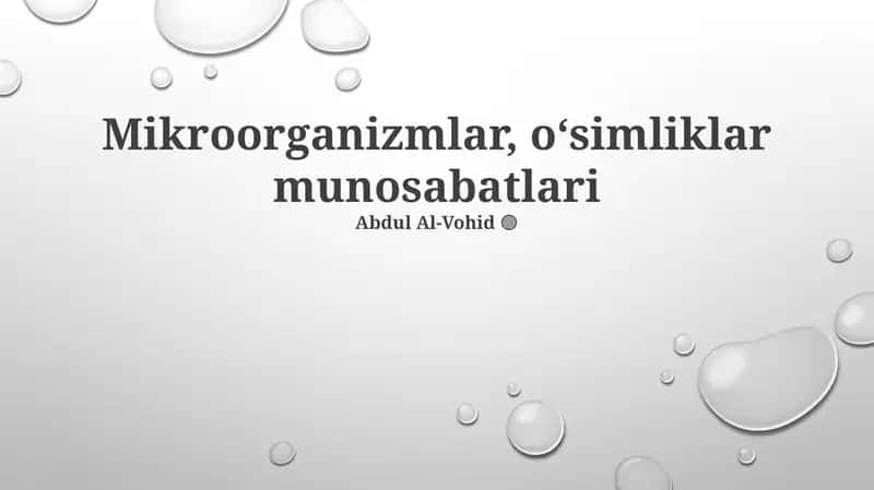 Mikroorganizmlar, oʻsimliklar munosabatlari