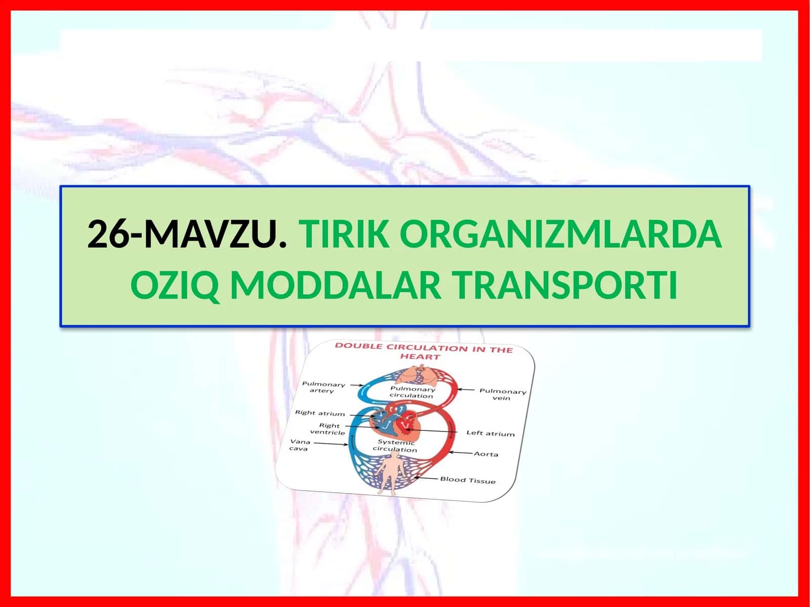 TIRIK ORGANIZMLARDA OZIQ MODDALAR TRANSPORTI