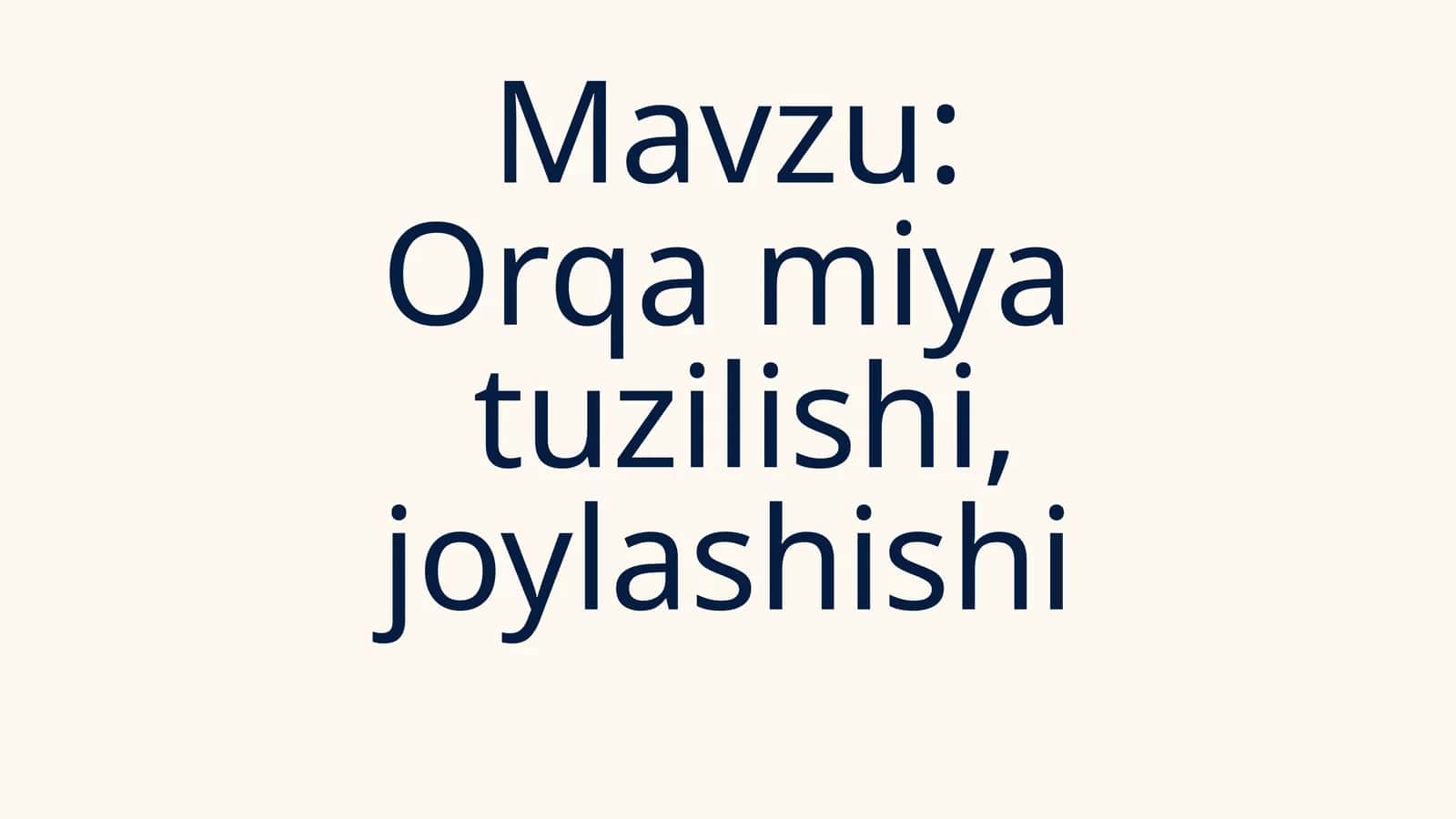 Orqa miya