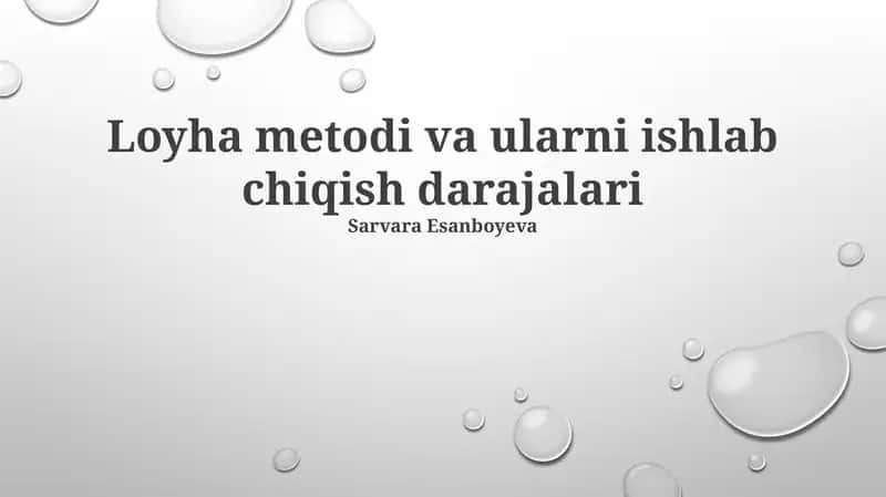 Loyha metodi va ularni ishlab chiqish darajalari