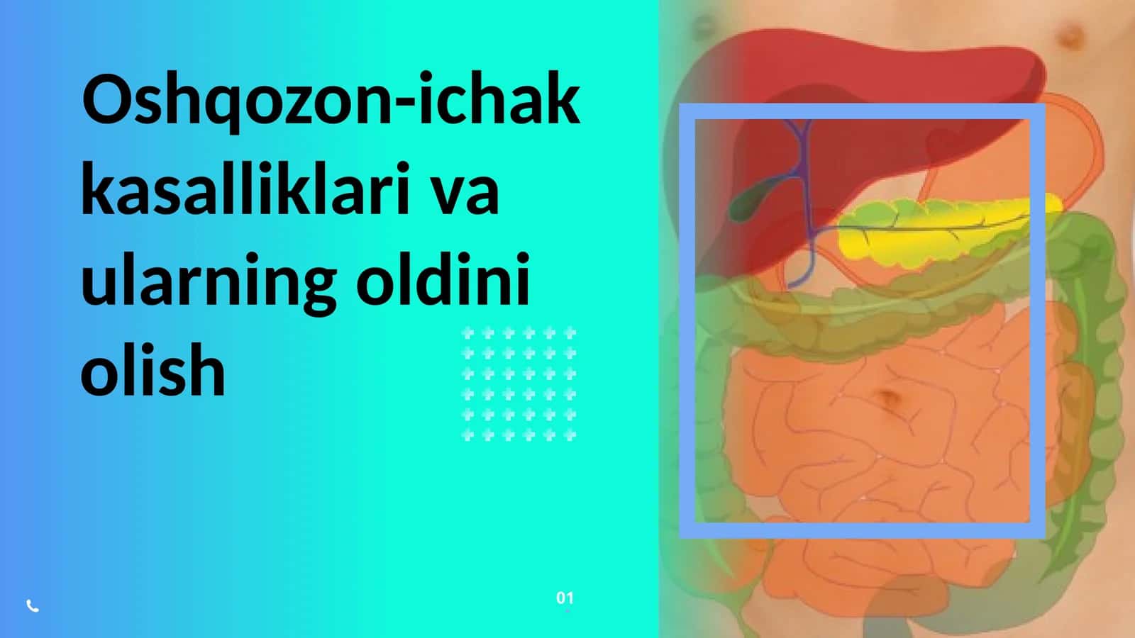 Oshqozon ichak kasalliklari va ularning oldini olish