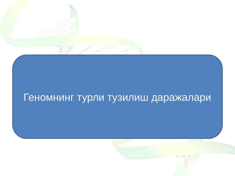 Геномнинг турли тузилиш даражалари