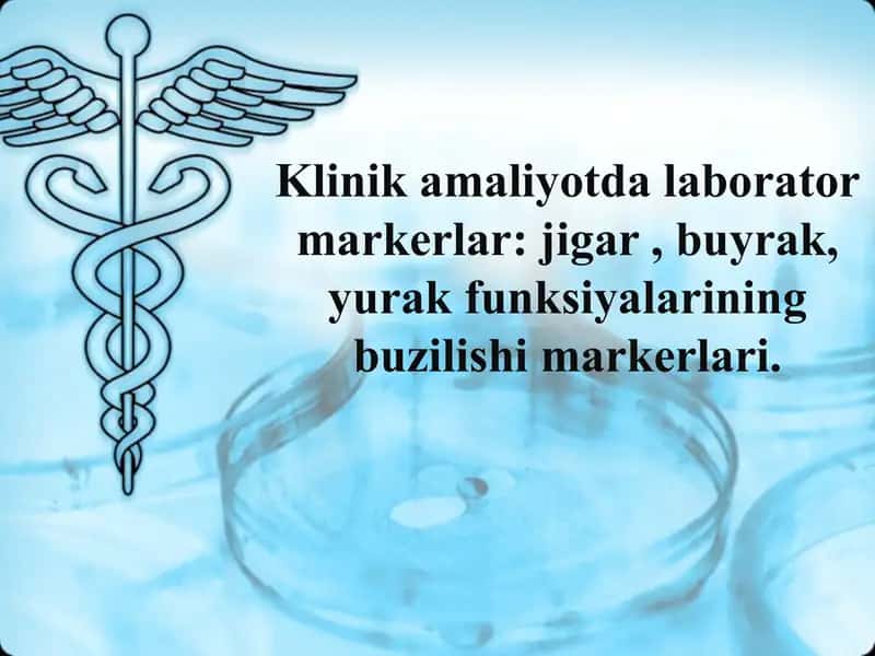 Laborator markerlar