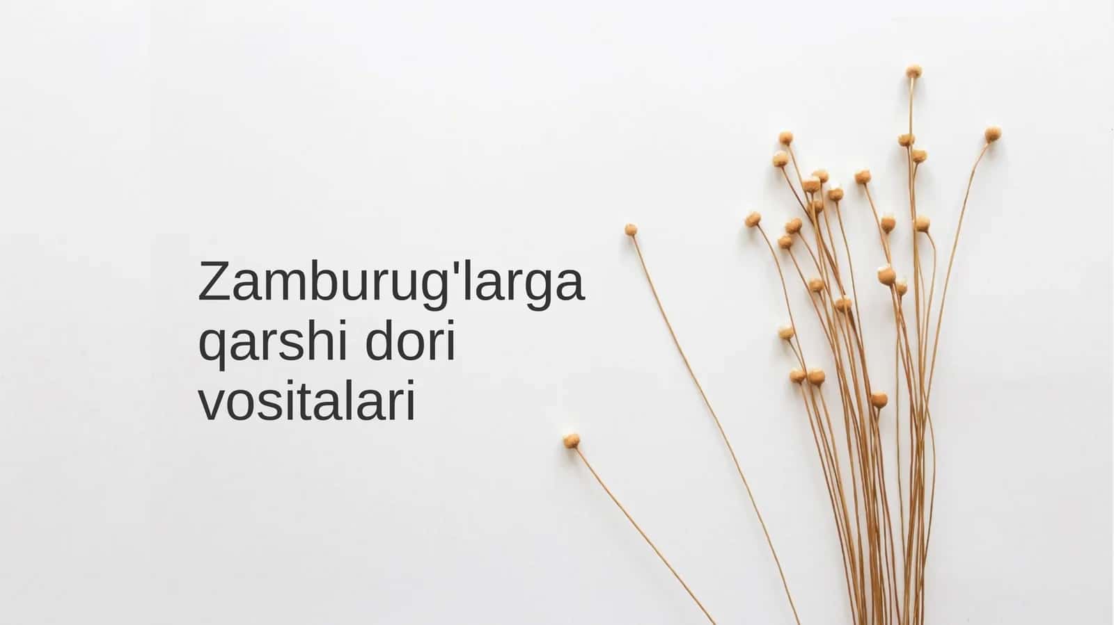 Zamburug'larga qarshi dori vositalari