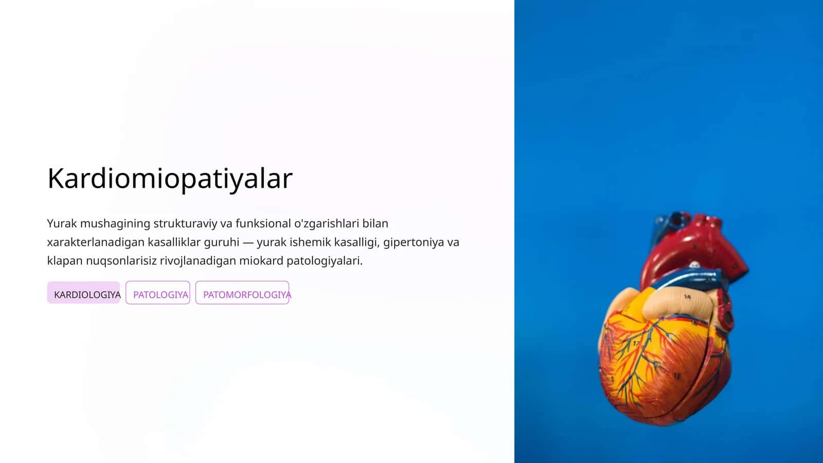 Kardiomiopatiyalar