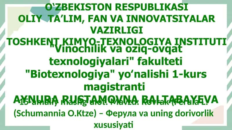 Kovrak (Ferula L. (Schumannia O.Ktze)