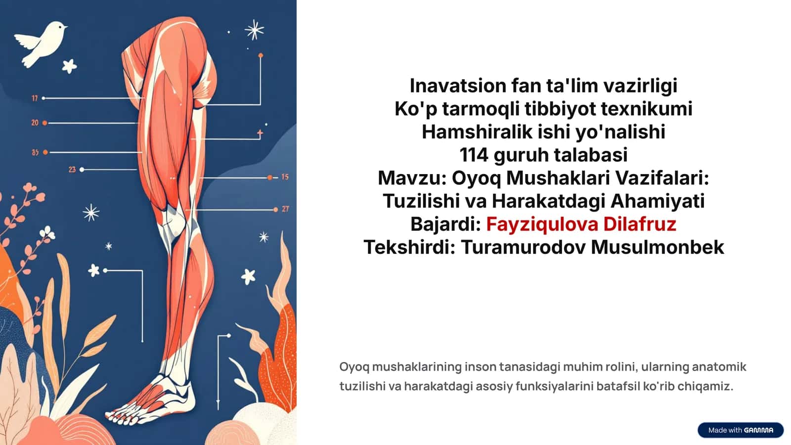 Oyoq Mushaklari Vazifalari: Tuzilishi va Harakatdagi Ahamiyati