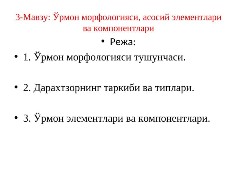 Ўрмон морфологияси, асосий элементлари ва компонентлари