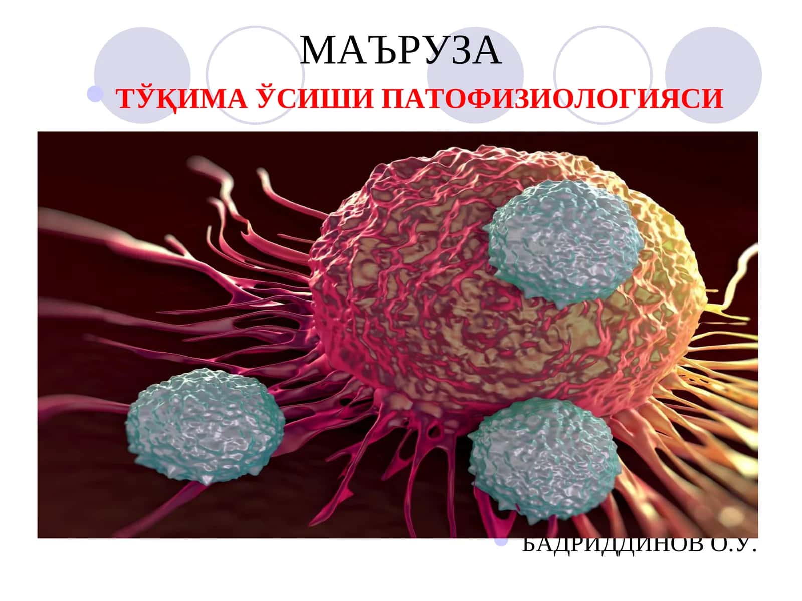 ТЎҚИМА ЎСИШИ ПАТОФИЗИОЛОГИЯСИ