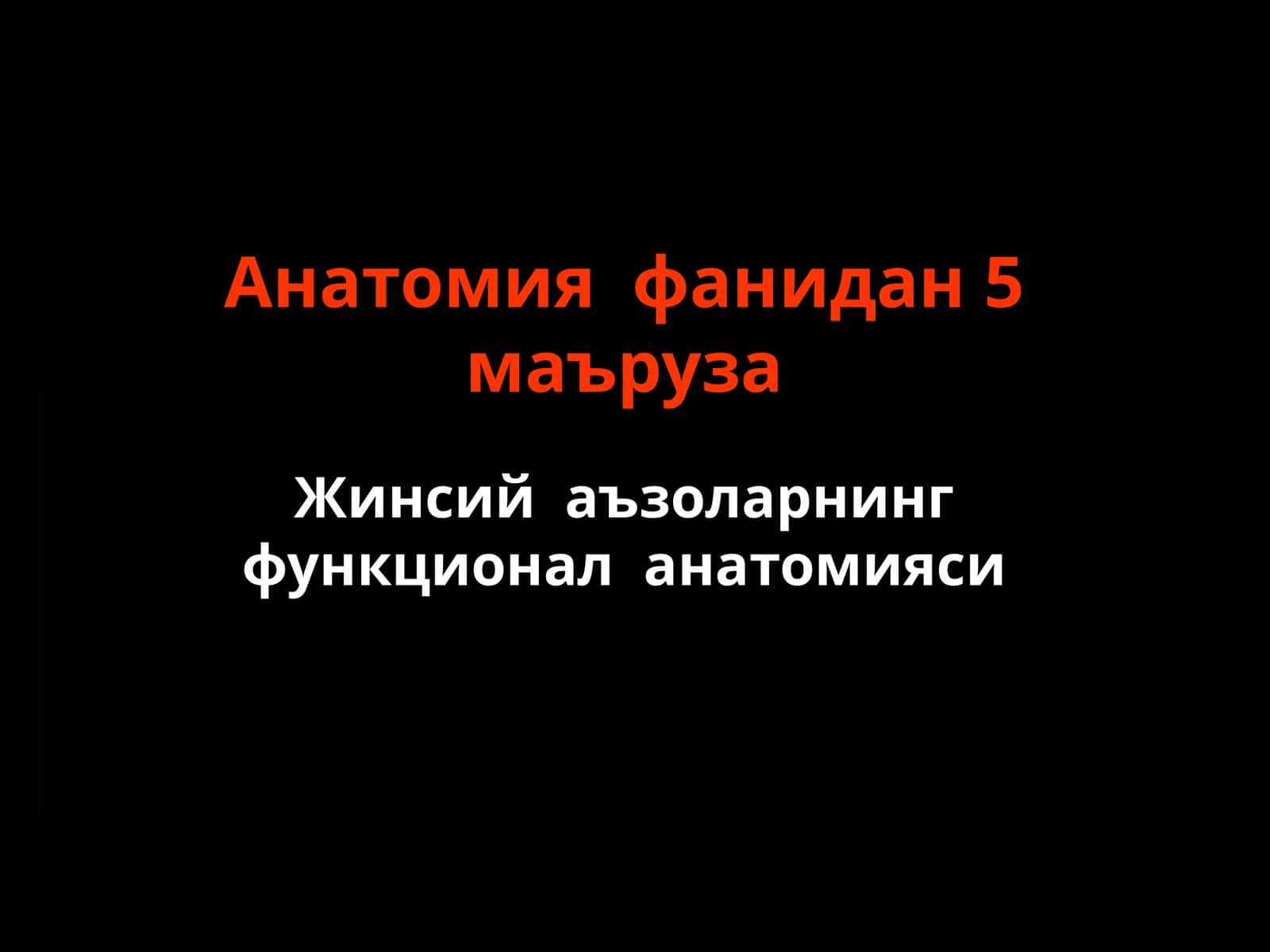 Жинсий аъзоларнинг функционал анатомияси