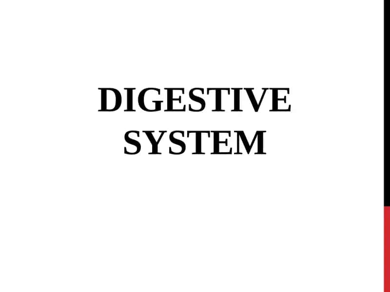 Digestive System