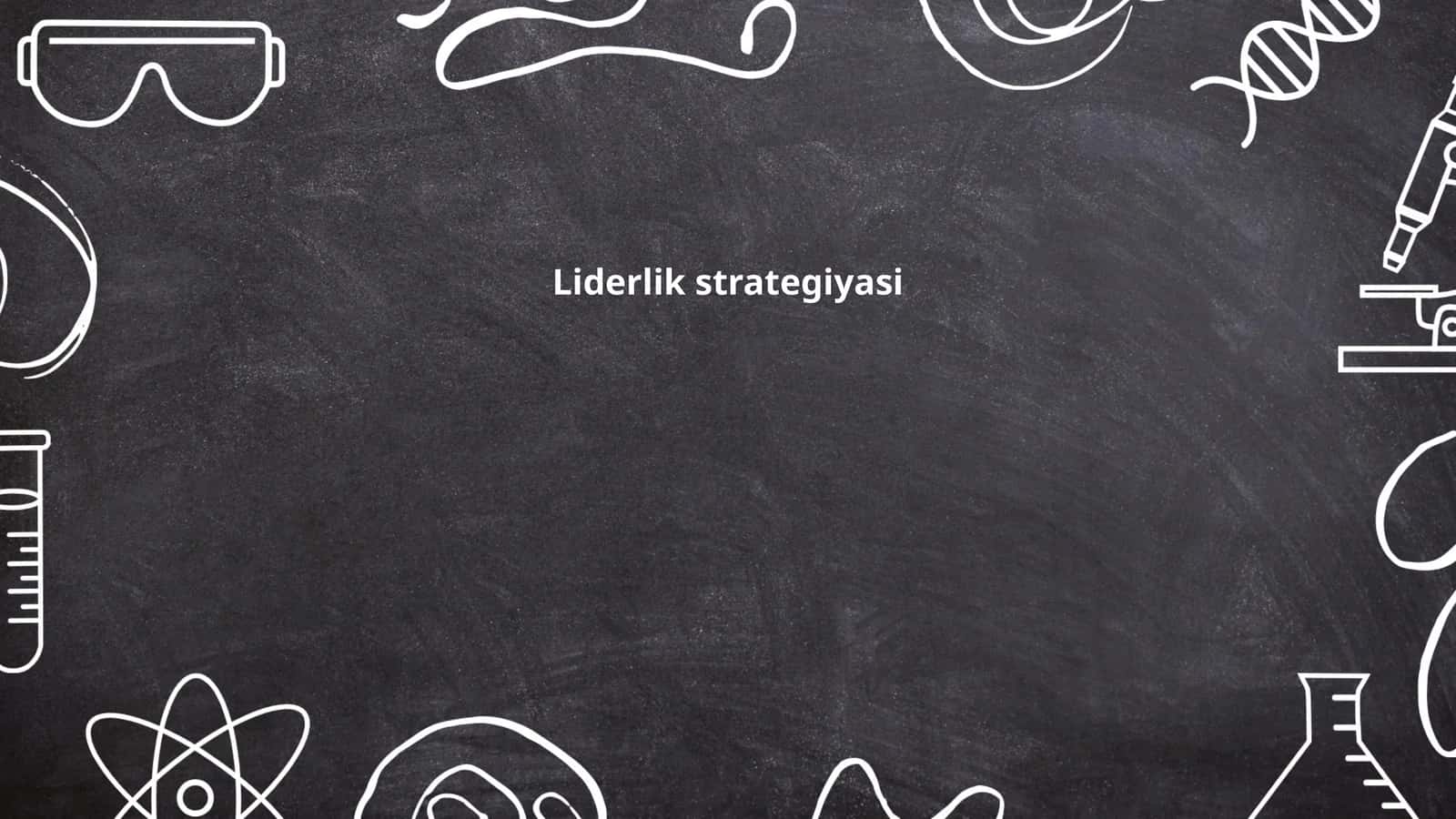 Liderlik strategiyasi