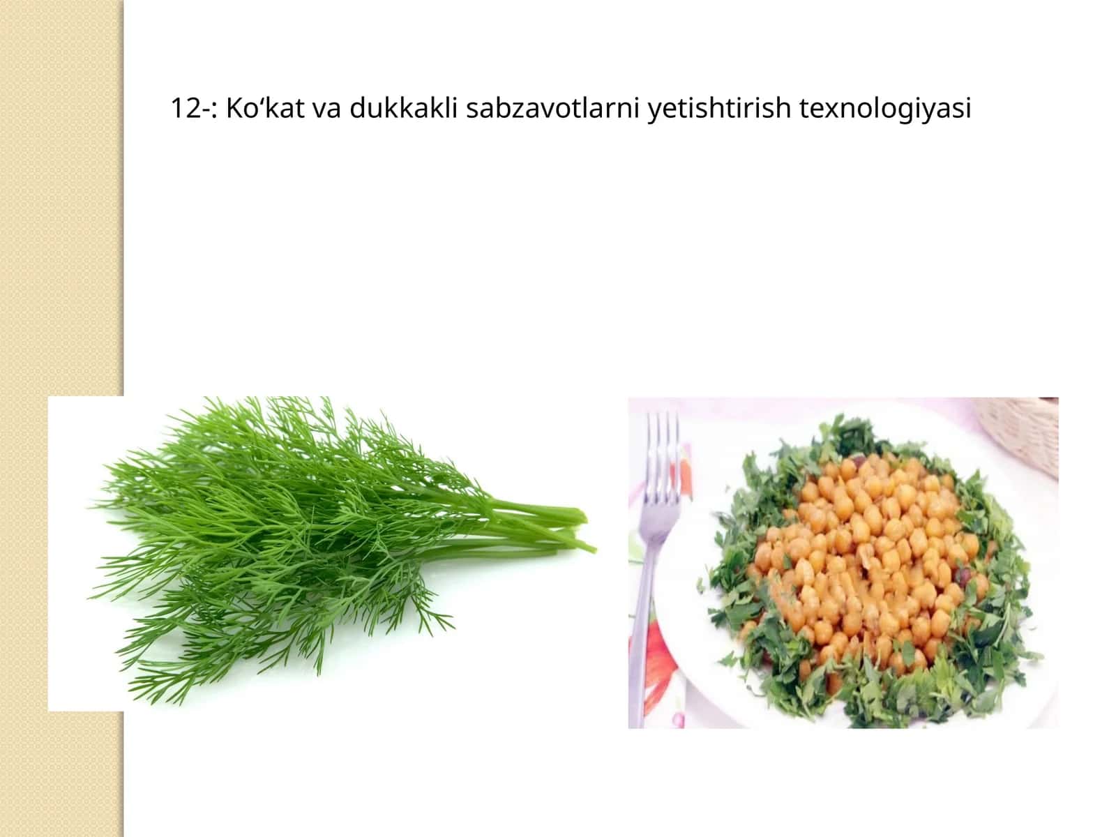 Ko‘kat va dukkakli sabzavotlarni yetishtirish texnologiyasi