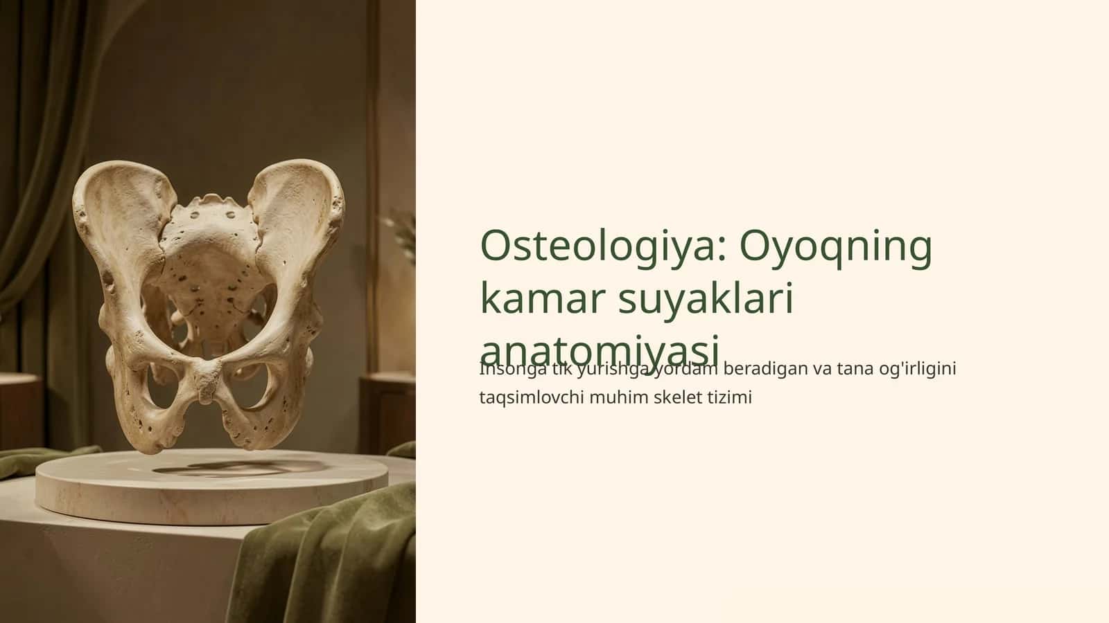 Osteologiya: Oyoqning kamar suyaklari anatomiyasi