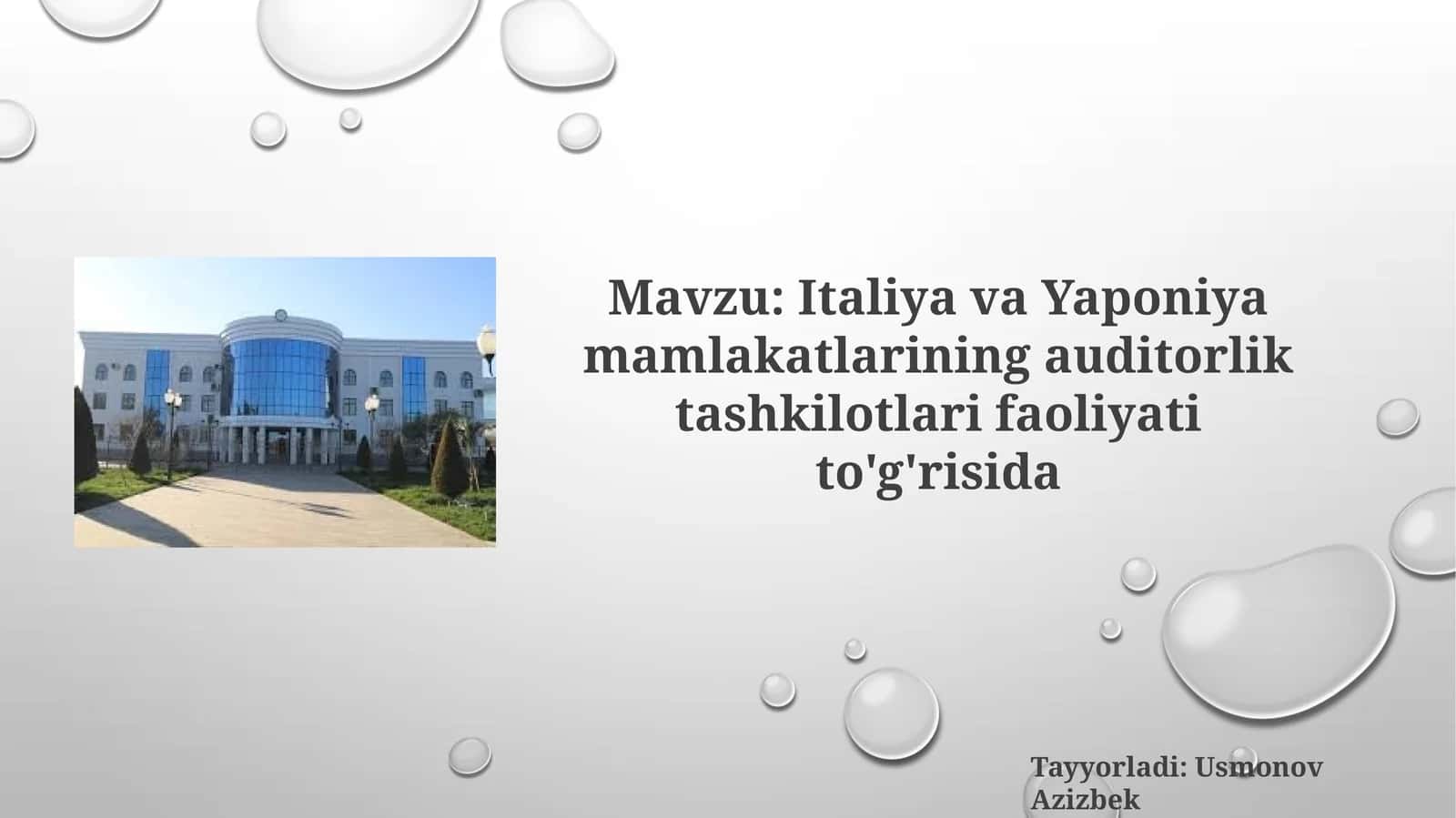 Italiya va Yaponiya mamlakatlari auditorlik tashkilotlari faoliyati to'g'risida