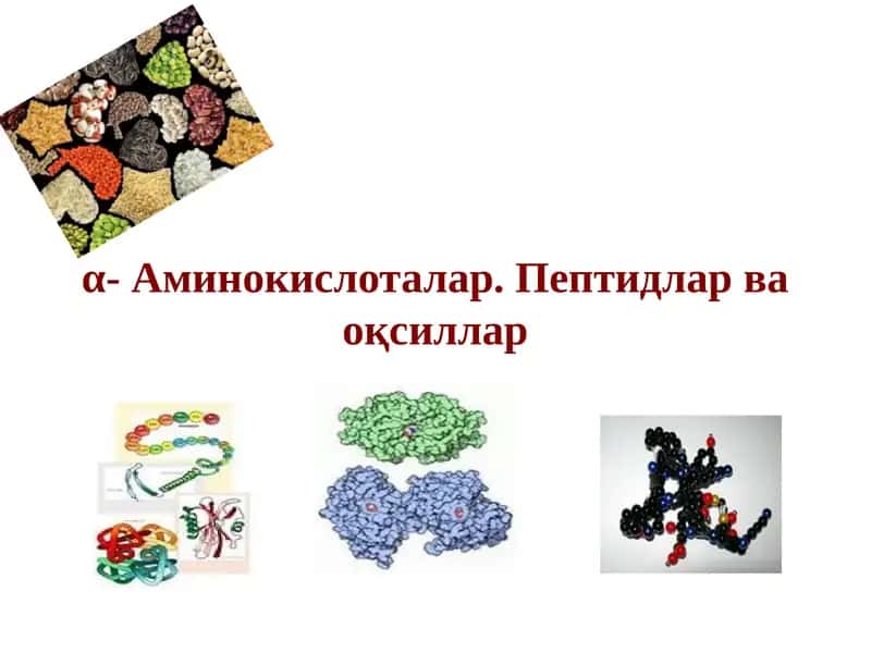 α- Аминокислоталар. Пептидлар ва оқсиллар