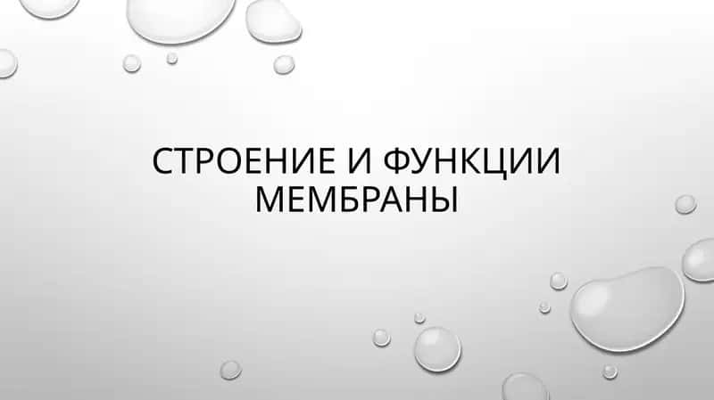 слайд,презинтация,slayd