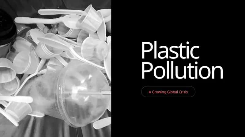 Plastic Pollution