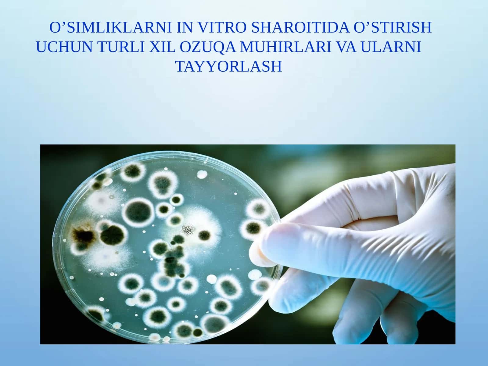 O’SIMLIKLARNI IN VITRO SHAROITIDA O’STIRISH UCHUN TURLI XIL OZUQA MUHIRLARI VA ULARNI TAYYORLASH